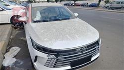 بي واي دي ديستروير 05